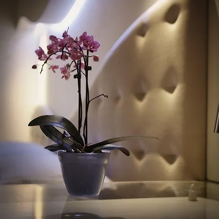 Otel Bellariva Feeling Rimini